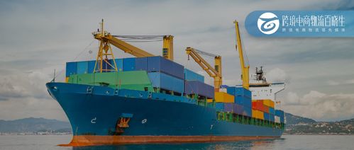 連續五年增長，XX港口吞吐量增長10% 絲網制品及進出口業務成關鍵驅動力